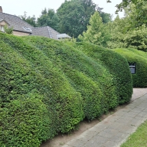 Bosschaerts tuinen
